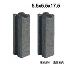 PTS-029-010-0 5.5X5.5X17.5 小強砂紙機